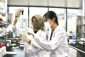Cerita 2 Alumni DDS Indonesia Berinovasi Kesehatan di Korsel