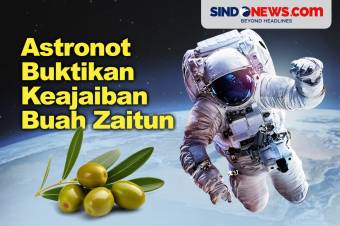 Astronot Buktikan Keajaiban Buah Zaitun yang Disebut Al Quran