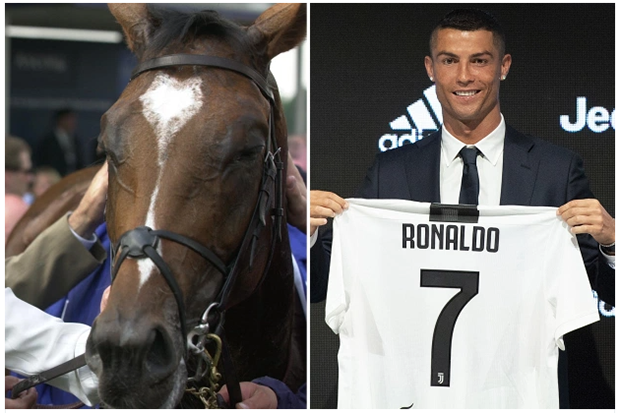 Harga Kuda Balap Galileo Kalahkan Mahar Transfer Messi & Ronaldo