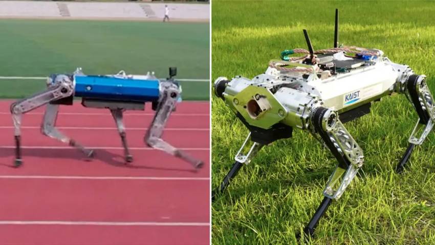 Robot Anjing Buatan Korsel Pecahkan Rekor Lari Tercepat di Dunia