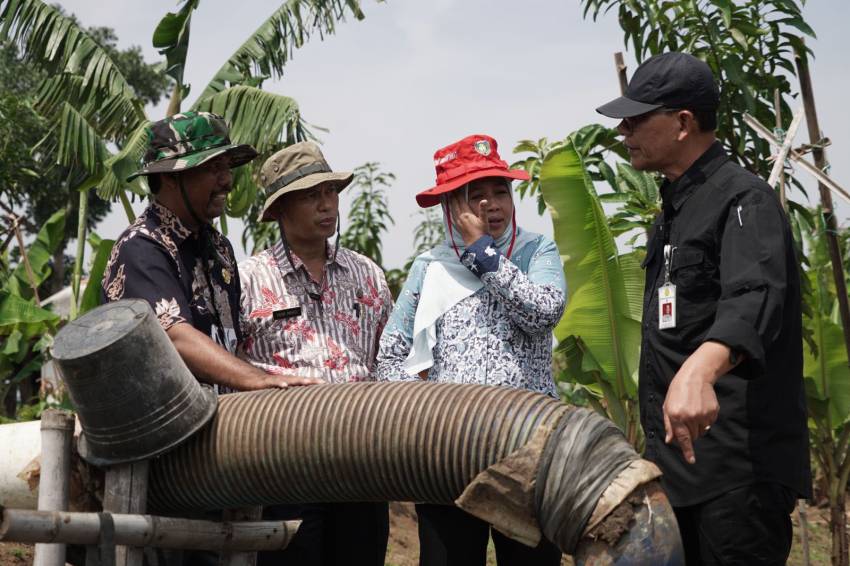 Dirjen PSP Kementan Kunjungi Lahan Pertanian di Indramayu dan Cirebon