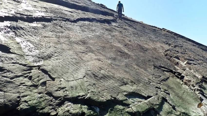 Ilmuwan Temukan Fosil Hutan Purba Berusia 390 Juta Tahun di Inggris, Pecahkan Rekor Tertua di Dunia