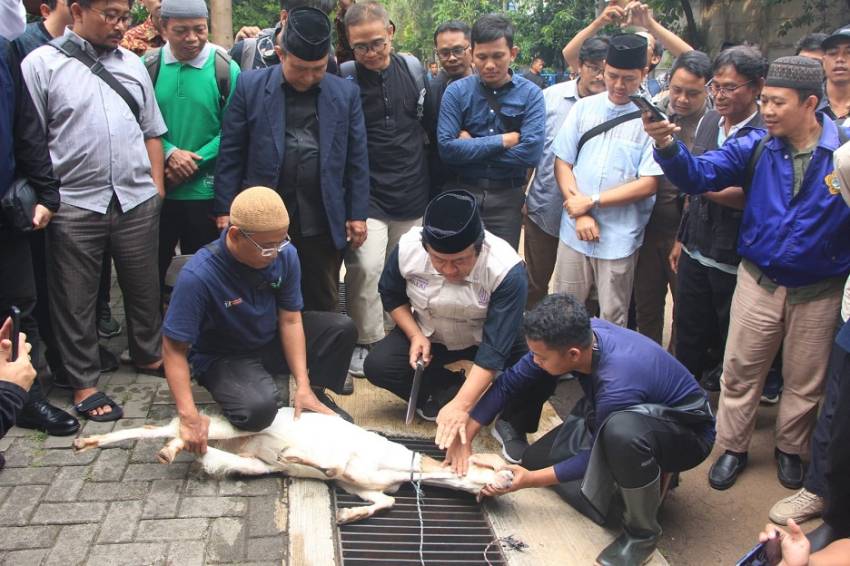 Kemenag Gandeng LDII Jakarta Latih Ratusan Juleha untuk Penyembelihan Hewan Kurban