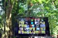 Serunya Wisata Virtual Study Tour di Kebun Raya Bogor