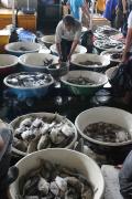 Jelang Malam Tahun Baru, Pasar Ikan Muara Angke Ramai Pembeli