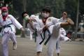 Melihat Siswa Ampibi Taekwondo Club Taekwondo Berlatih di Tengah Pandemi