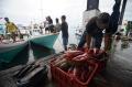 Gelombang Laut Tinggi, Harga Ikan di TPI Paotere Makassar Naik Dua Kali Lipat