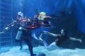 Atraksi Liong Bawah Air dan Putri Duyung Meriahkan Imlek di Jakarta Aquarium