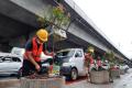 Penghijauan di Jalur Pedesterian Kawasan AP Pettarani Makassar