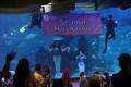 Peringatan Hari Kartini di Jakarta Aquarium