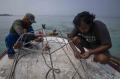 Menanam Anakan Terumbu Karang di Pulau Harapan