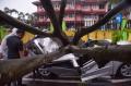 Pohon Tumbang di Medan, Dua Orang Meninggal Dunia