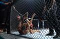 Disaksikan Trump, McGregor Patah Kaki di Ronde Pertama UFC 264
