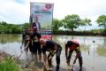 Aksi Peduli Tanam 1.000 Bibit Mangrove di Sungai Bontoloe