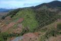 Potret Gundul Kawasan Taman Nasional Kerinci Seblat Akibat Penebangan Kayu Hutan Ilegal