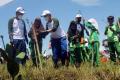 Kehati dan Asahimas Chemical Tanam 2.000 Bibit Mangrove di Banten