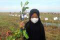 Kehati dan Asahimas Chemical Tanam 2.000 Bibit Mangrove di Banten