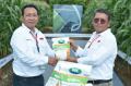 Mentan Hadiri Peluncuran Jagung Bioteknologi dengan Keunggulan Ganda Pertama di Indonesia