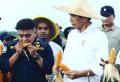 Potret Stafsus Presiden Billy Dampingi Kunker Presiden Jokowi ke Papua