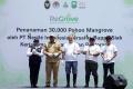 Rehabilitasi Berkelanjutan Mangrove di Kabupaten Siak, Nestlé Indonesia Kolaborasi dengan Badan Restorasi Gambut