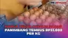 Harga Telur Ayam di Pasar Panimbang Pandeglang Banten Tembus Rp31.000 per Kg