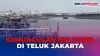 Viral Hiu Tutul Tertangkap Kamera Muncul di Teluk Jakarta