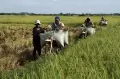 Bertarif Rp10 Ribu Per Karung, Ini Dia Jasa Ojek Pengangkut Gerabah di Pertanian Takalar