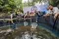 Jurnalis Mancing Indonesia Gelar Panen Raya Budidaya Ikan dan Santunan Ramadhan 2022