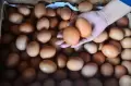 Harga Telur Ayam Ras Naik Jadi Rp26.000 Per Kilogram