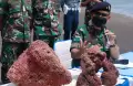 TNI AL Gagalkan Penyelundupan 320 Koli Terumbu Karang Senilai Rp2,5 Milyar
