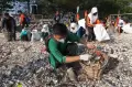 Bersih-bersih Sampah di Pantai Kenjeran