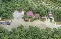 Jalan Lintas Aceh Selatan-Medan Terputus Akibat Banjir