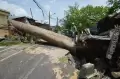 Pohon Tumbang Akibat Cuaca Ekstrem di Bali