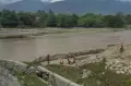 Penanggulangan Abrasi Jembatan Sungai Palu