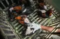 Antisipasi Penularan Flu Burung di Kota Bandung