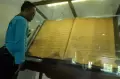Penampakan Al Quran dari Daun Lontar yang Tersimpan di Masjid Jami Matraman