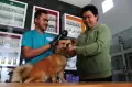1.775 Kasus Gigitan Anjing di Kalbar, Warga Gencar Vaksin Rabies untuk Hewan Peliharaan
