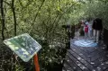 Wisata Edukasi Kebun Raya Mangrove Surabaya