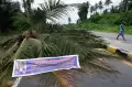 Tuntut Ganti Rugi Tanah Ulayat, Warga Tutup Jalan di KM 13 Jalan Holtekamp Papua