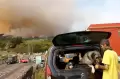 Api Kebakaran Meluas, Penduduk Tenerife Spanyol Tinggalkan Rumah