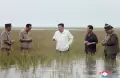 Potret Blusukan Kim Jong Un, Cek Langsung Padi Usai Pyongan Selatan Diterjang Banjir
