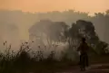 Kebakaran Lahan Jadi Penyebab Kualitas Udara Palembang Jadi Tidak Sehat