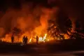 Potret Kebakaran Lahan di Samping Jalan Tol Palembang-Indralaya