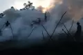Kebakaran Menjalar ke Kebun dan Permukiman, Warga Kabupaten Ogan Ilir Bersiaga