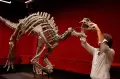 Kerangka Dinosaurus Barry Dilelang, Ditaksir Capai Rp19,6 Miliar