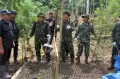 Operasi Pemusnahan 16,2 Hektar Ladang Ganja di Aceh