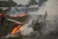Kebakaran Lahan di Kawasan Akses Tol Palindra