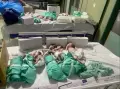 Listrik di RS Al Shifa Gaza Padam, Bayi-bayi Baru Lahir Ini Terpaksa Dikeluarkan dari Inkubator