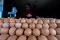 Jelang Bulan Puasa, Harga Telur Ayam Tembus Rp 31 Ribu/Kg