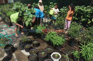 Agro Eduwisata Organik Tingkatkan Ekonomi Masyarakat Lokal